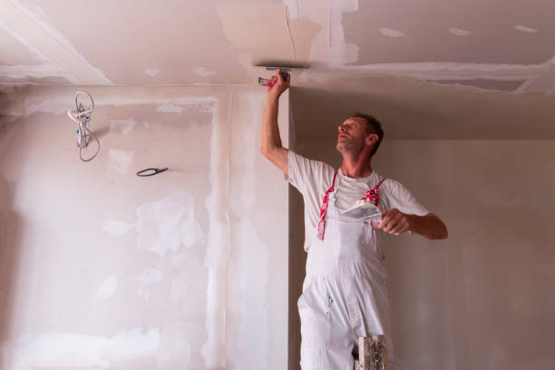 Best Remodeling Drywall  in Charleroi, PA